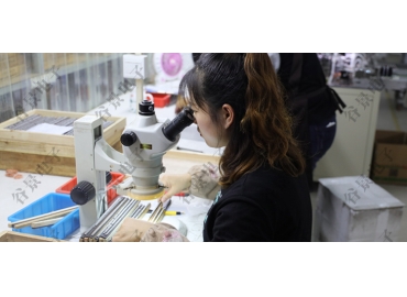 貼片共模電感方向如何區(qū)分你知道嗎？